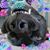 Elaine Reynolds's profile image