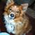 Linda Freel's profile image