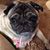 Michelle Bechthold's profile image