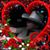 Roy Clawson's profile image