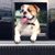Rob Robinson's profile image