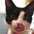Ashley Martin's profile image