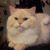 Melinda Klemas's profile image