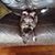 Marsha Teal's profile image
