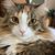 Beverly Carter's profile image
