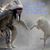Dennis Nagel's profile image