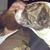 Jacob Carl Careme's profile image