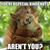 Andrew Schneider's profile image