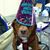 Jana Tuchin's profile image