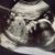 Johana Ramirez Gonzalez's profile image