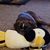 Renee Weinhart's profile image