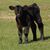 Michelle Jorgensen Booth's profile image