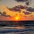 Paula Crouse's profile image