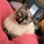 Julia Kay RouLaine's profile image