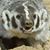 Lepere Preston's profile image