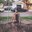 Harini Saladi's profile image