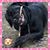 Lisa Carpenter's profile image