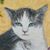 Susan V Zipser's profile image