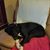 Dawn Schade's profile image