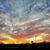 Deanna J Patrick's profile image