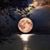 Mohamed Ibrahem's profile image