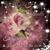 Donna Thigpenn's profile image