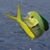 John McGann's profile image