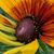 Denise Christian's profile image