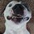 Logan Aduddell's profile image