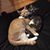 Allison Miller Johns's profile image