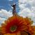 Trish Turpin's profile image