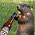 Mark Beck's profile image