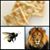 Don Schmidt's profile image