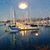 Lynda Bryson's profile image