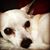 Mary Slavin's profile image
