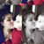 Elsa N Anthony's profile image