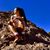 Brittani Nicole Koons's profile image