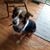 Linda Carter's profile image