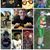 Glenda Edwards's profile image