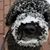 Sarah Spinler Creedon's profile image