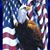 Lesly Reardon's profile image
