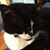 Patrick E. Mahoney's profile image