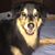 Annette Rizzo-Genovaldi's profile image