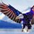 Mike Aliff's profile image