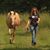 Sunny Brook Farm's profile image