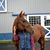 Debra Wendt's profile image