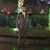 Parth Kohli's profile image