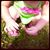 Deborah Beaulieu's profile image