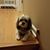 Jennifer Mois's profile image