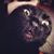 Paul Mathews's profile image